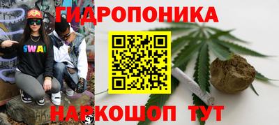 a pvp Гусев