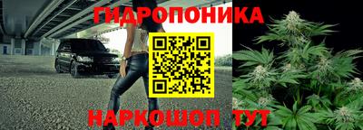 мяу мяу кристалл Гусь-Хрустальный