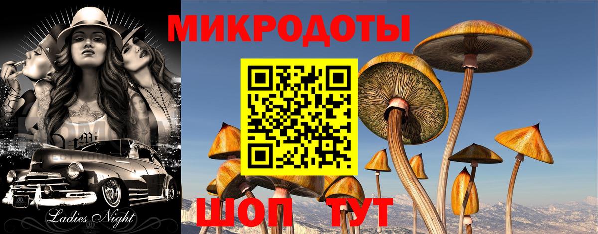 Галлюциногенные грибы Magic Shrooms  Вход с VPN  где купить наркоту  Печора  Галлюциногенные грибы мицелий 